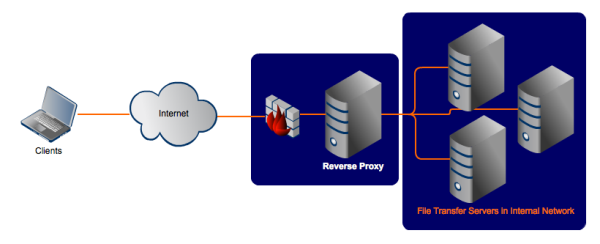 reverse proxy