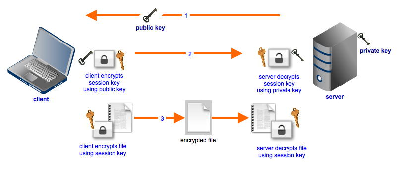 hybrid_cryptosystem_used_in_file_transfer