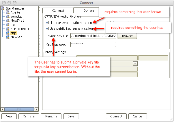 password and public key authentication in a file transfer client