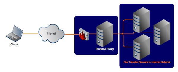 latin ægteskab padle 8 Reasons Why You Should Use a Reverse Proxy in Your DMZ | JSCAPE