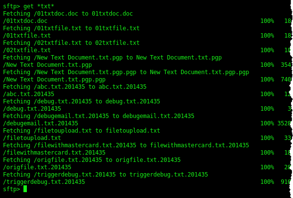 sftp-command-line-download-files-wildcard-2