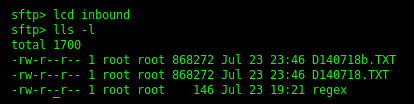 sftp command local jscape line client current again machine location display