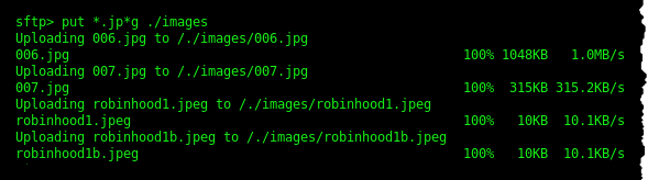 filezilla sftp command line