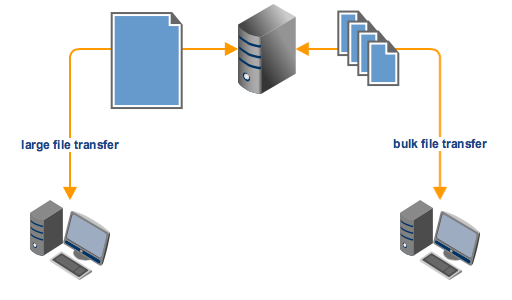 large_file_transfer_bulk_file_transfer_manual