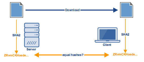 hashing-for-data-integrity