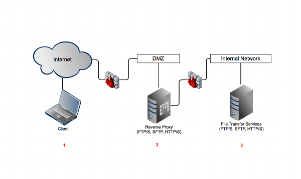 reverse proxy server