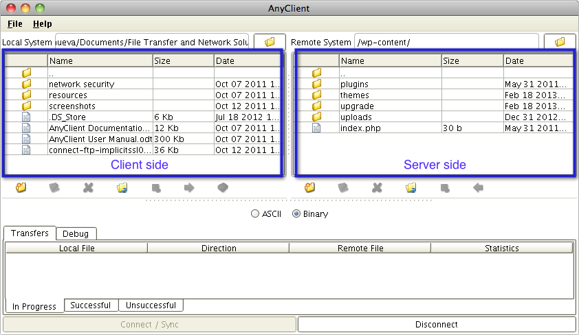 ftp client local remote directories