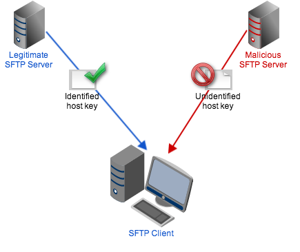 sftp host key resized 600