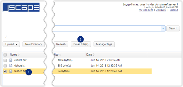 email files web ui