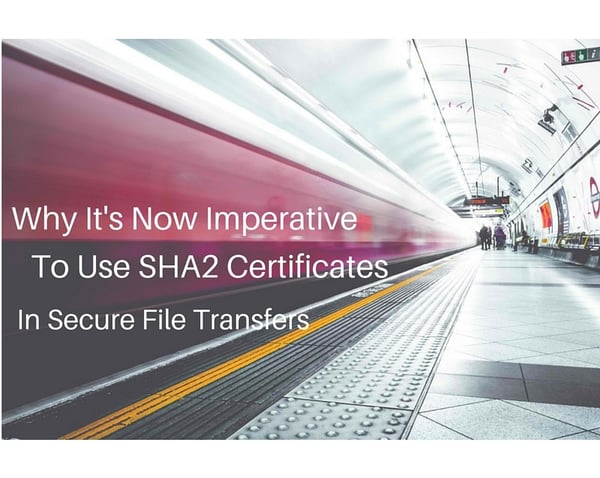 Why_Its_Time_To_Use_SHA2_Certificates_In_Secure_File_Transfers.jpg