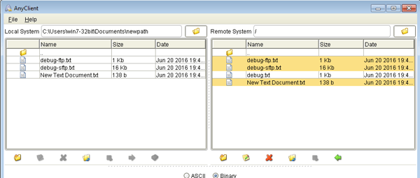 downloaded_files_windows_sftp_client.png