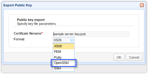 export public key openssh