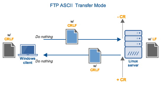 ftp_ascii_transfer_mode.png
