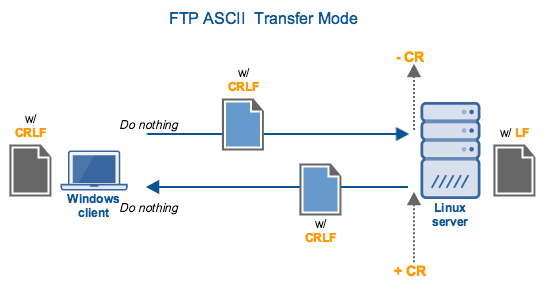 ftp ascii transfer mode