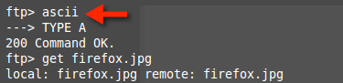 get_image_file_ascii.png