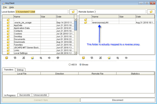 reverse_proxy_from_sftp_client.png