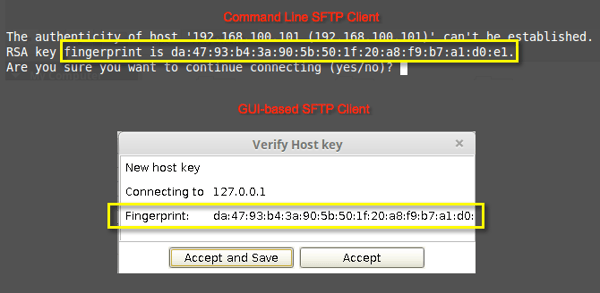 ssh key fingerprint