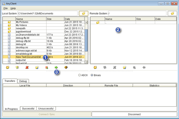 uploading file windows sft client