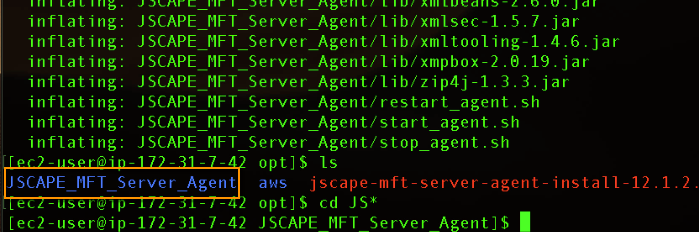 install mft server agent on linux - agent installation directory