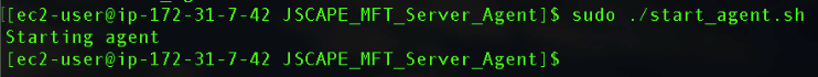install mft server agent on linux - start agent