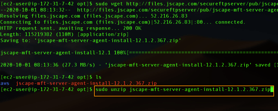install mft server agent on linux - sudo unzip