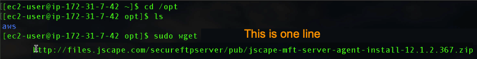 install mft server agent on linux - sudo wget-1