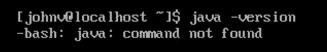 java version command not found