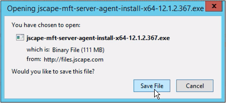 mft server download save file