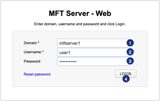 mft_server_web