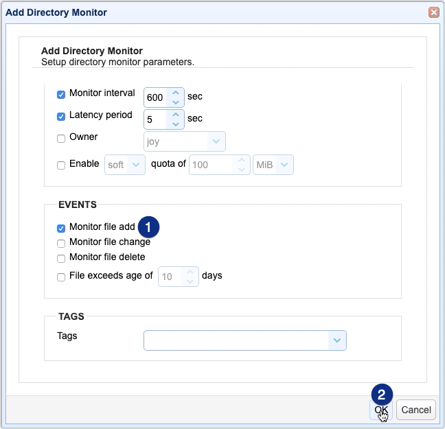 monitor file add on directory monitor for automated as2