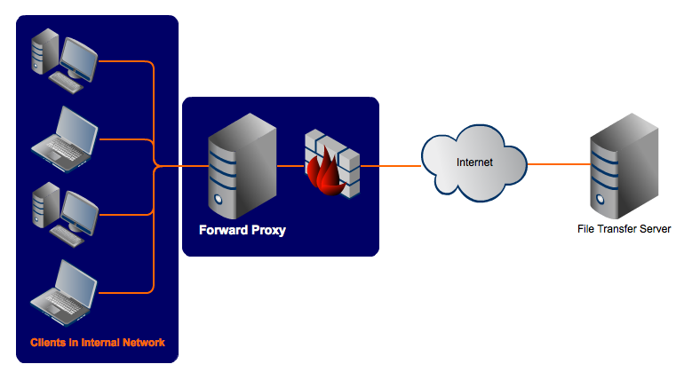 Forward Proxy vs. Reverse Proxy Servers