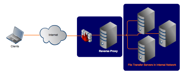 reverse_proxy-resized-600-21