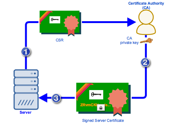 csr-ca-signed-server-certificate