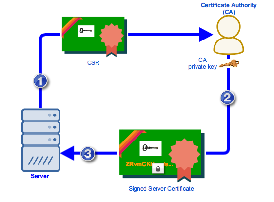 digital certificates