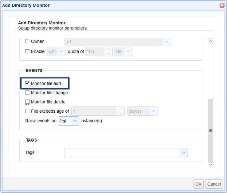 How to Auto Upload Files to a Server from A Local Directory - 03