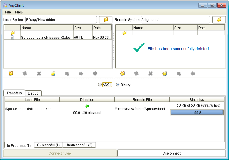 file successfully deleted mft server