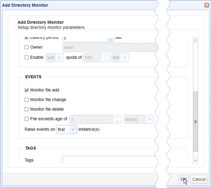 directory monitor file add setting