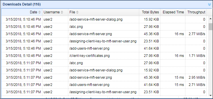 downloads detail.png