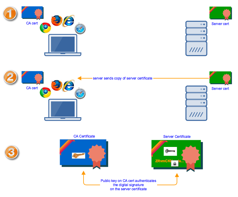 verifying server certificates
